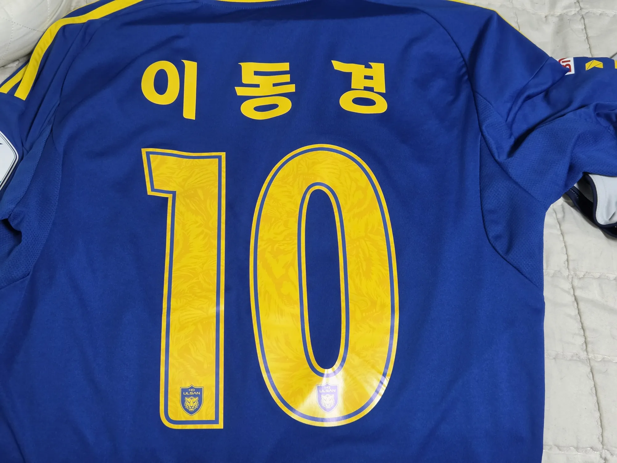 20261021_073331.jpg.webp