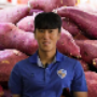 고구마두재